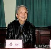 黄琳
