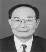 关振东